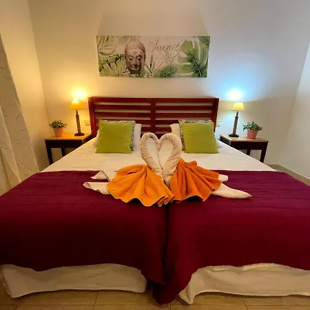 度假居 Carlos Park 51 普拉亚布兰卡